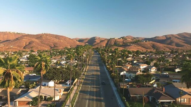 Aerial view of cityscape with palm trees