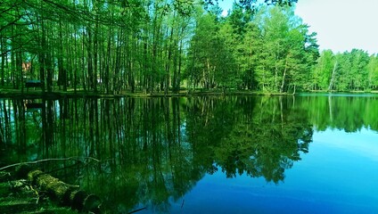 reflection in water