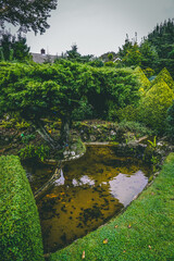 landscape with trees and river