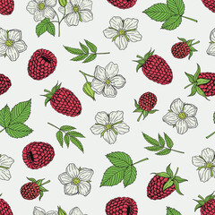 raspberry berries 20-08