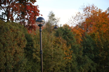 Street light.In the foreground, the lantern is a transparent glass ball against a background of multicolored trees with red orange yellowed foliage.Autumn decoration of the city Park.