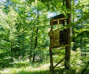Hunters high seat made of wood in a clearing in the forest
