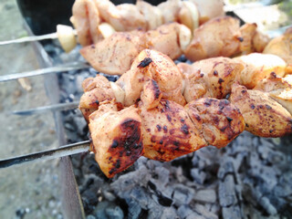 shish kebab on the grill