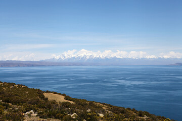 Trees on Isla Del Sol in Lake Titicaca with mountains in the distance