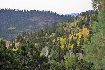 Mountain Showing Autumn Colors