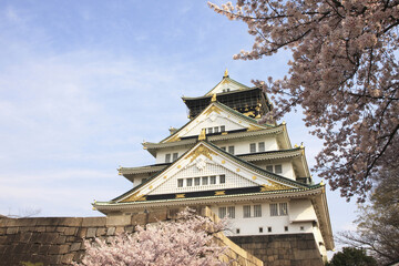 Fototapeta premium 大阪城の桜