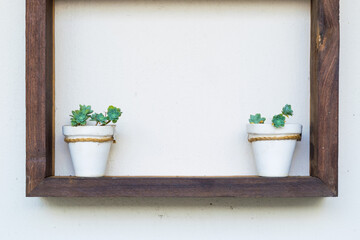 two potted plants on a wooden ledge on a white wall