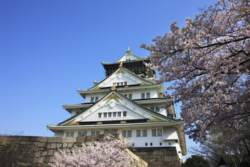 Naklejka premium 大阪城の桜