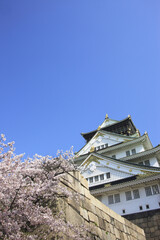 大阪城の桜