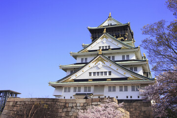 Fototapeta premium 大阪城の桜