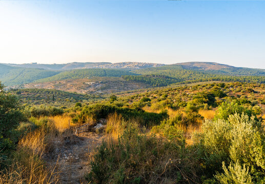Jezreel valley in Israel. Armaggedon valley