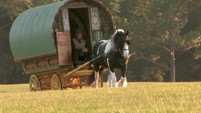 Gypsy Vanner Horse mare pulling bow top living wagon vardo across hilly fields