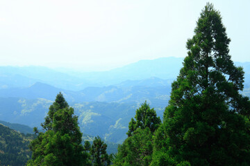 Fototapeta premium 高野山の風景