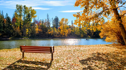 Park bench beside a lake during autumn with vibrant yellow colors