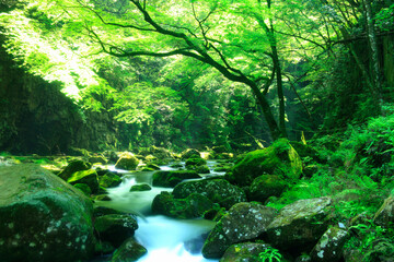 赤目四十八滝渓谷