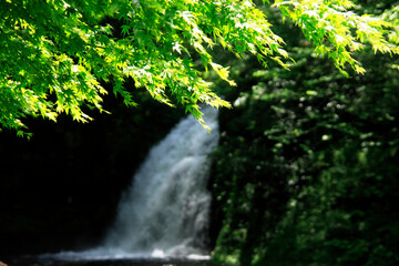 赤目四十八滝渓谷