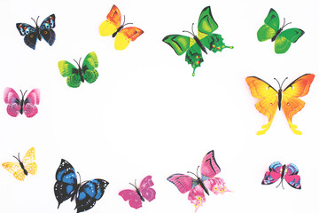Multicolours butterflies with a white background