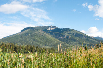 Fototapeta premium Landscape scenes with beautiful views