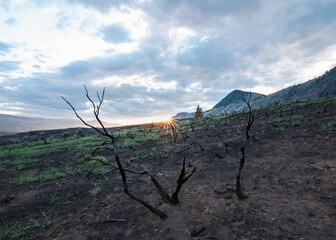 Landscape scenes with beautiful views