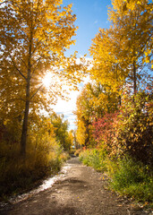 Landscape scenes with beautiful views