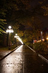 Fototapeta na wymiar Empty Rainy Autumn Street in Quebec City