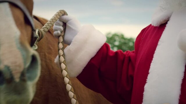 Close up of a man dressed up as Santa Claus, holding onto the reins of a horse.