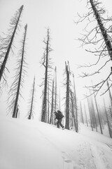 Winter ski adventures in British Columbia Canada