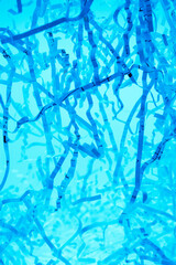 シュレッダーされた紙くず