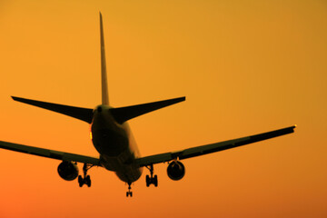飛行機