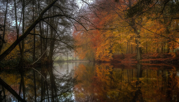 Herbststimmung