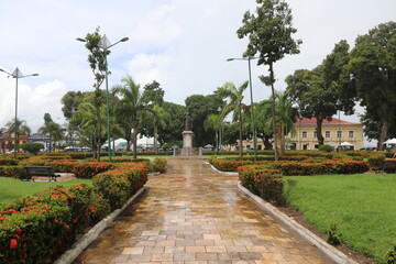 Fototapeta premium garden in the park