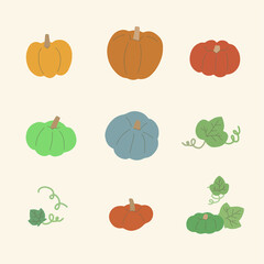 An image of several old pumpkins and vines. This is a flat image illustration great for use in autumn.