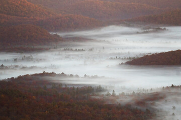 Dreamy foggy moments in the fall colored trees in north carolina, the Blue Ridge Mountains. Layers of fog and mist float through the landscape. 