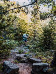 Obraz premium Woman hiking with baby applies pressure to two trekking poles finding her way down from the trail