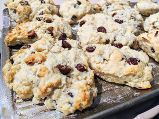 Buttery Chocolate Chip Scones on a Metal Baking Sheet