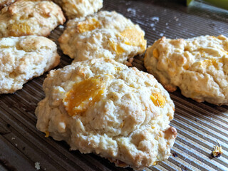 Closeup of Homemade Peach Scones Made with Real Cream, Butter, Sugar, and Fresh-Picked Peaches on a Rippled Metal Baking Sheet