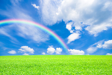 草原と青空に虹
