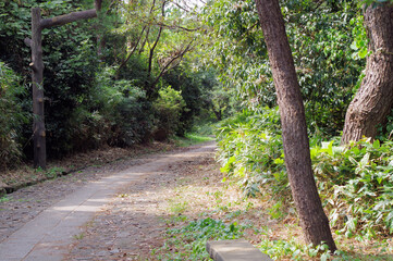 葛西臨海公園内の遊歩道