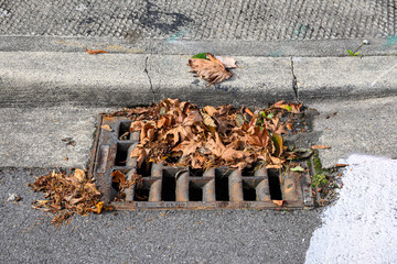 Dead fall leaves clogging a street drain, street and sidewalk

