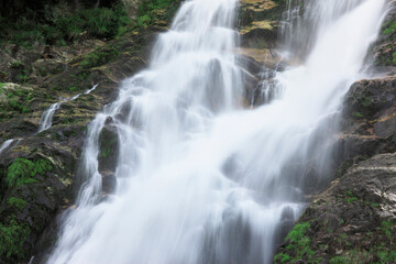 Obraz premium 大川の滝