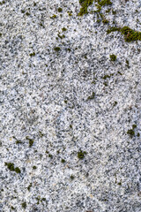 Closeup of gray textured stone with green moss and lichen growing on it, as a nature background
