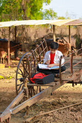 little boy seating on bull cart and studying