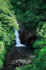Fototapeta na wymiar 龍神の滝
