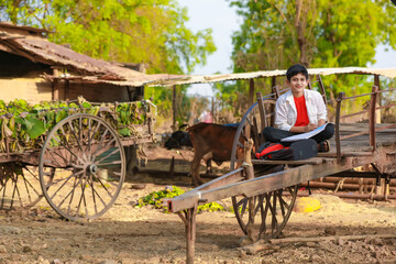 little boy seating on bull cart and studying