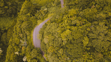 Aerial road in the forest, Oahu, Hawaii