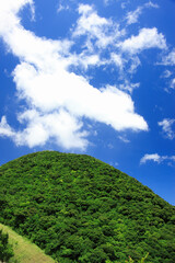 屋久島の海と山