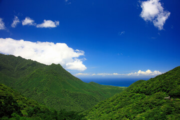 Fototapeta premium 屋久島の海と山
