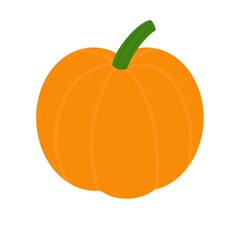 Pumpkin Isolated on White Background 
