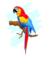 blue and yellow macaw mascot realistic cartoon in vector