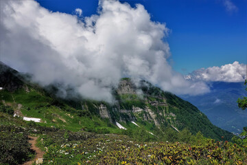 Alpine meadows in the Caucasus Mountains. The path winds among flowering rhododendrons. Islets of snow are visible. White clouds lie at the top of the mountain range. Russia.